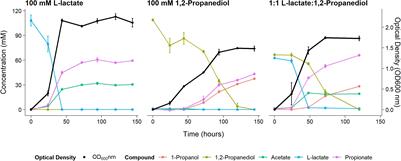 Bacterial Microcompartment-Dependent 1,2-Propanediol Utilization of Propionibacterium freudenreichii